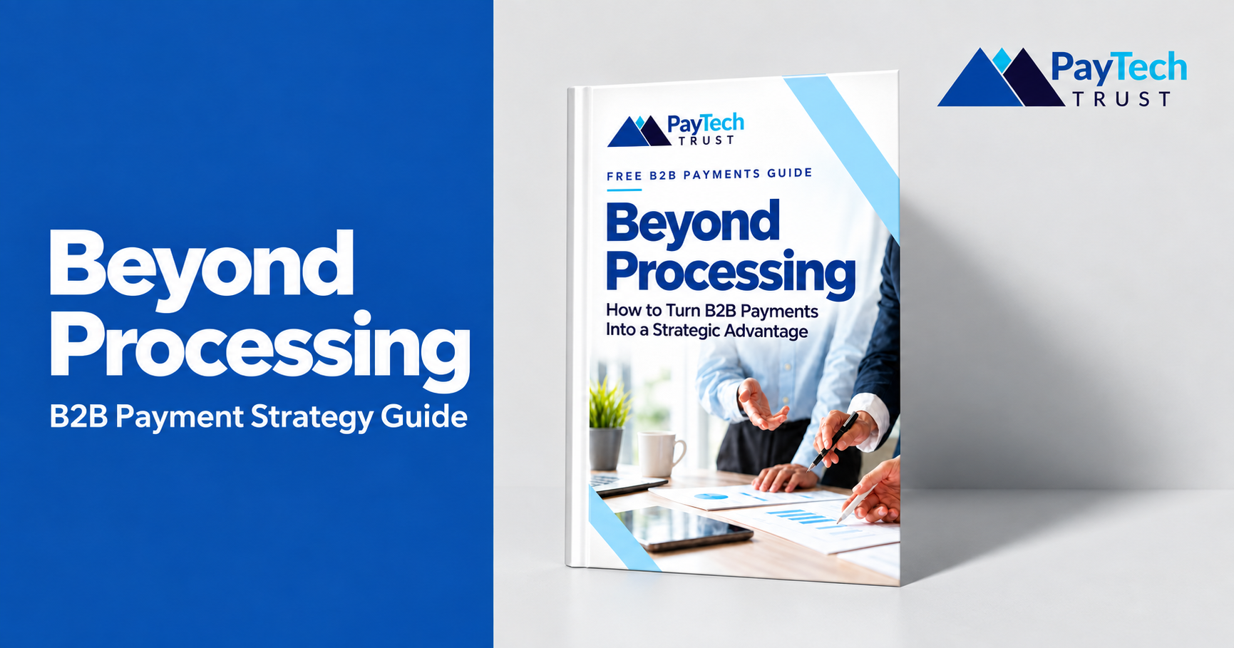 Beyond Processing B2B payment strategy guide from PayTech Trust
